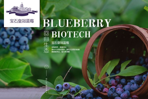 沈阳市皇冠蓝莓产业有限公司